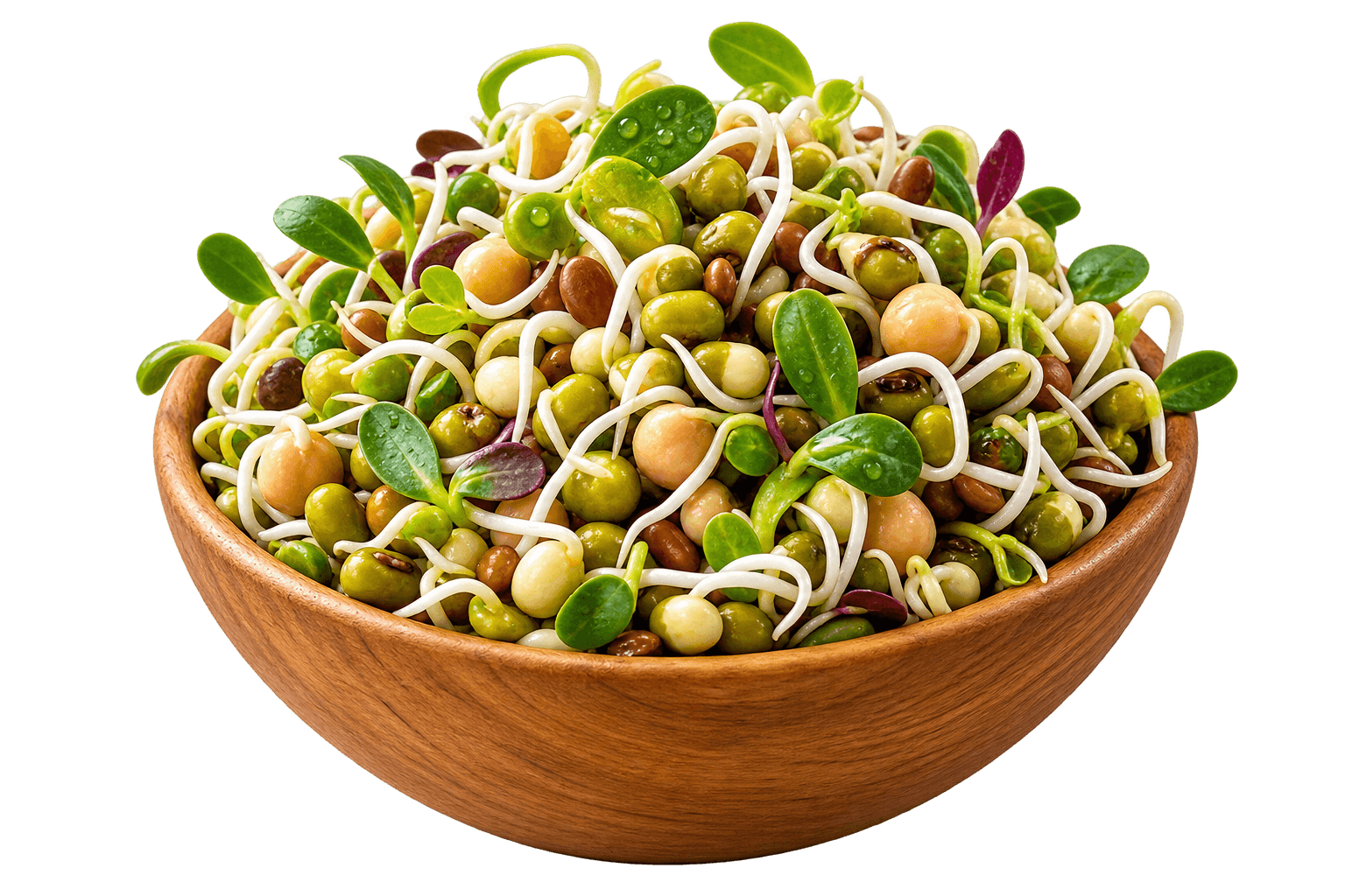 Fresh Sprouts